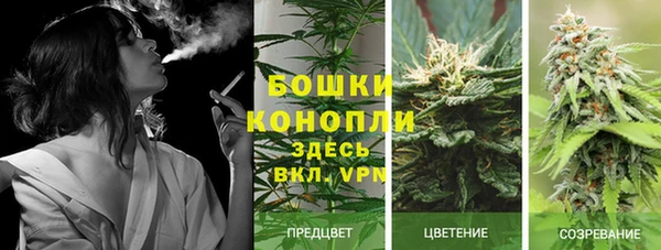 трава Краснослободск