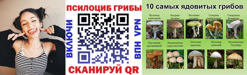 Купить Коломна Галлюциногенные грибы мухоморы